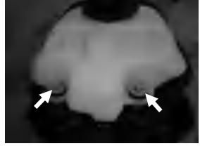 Wykręć śruby zbiornika paliwa