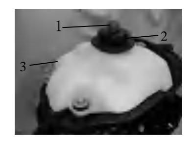 Diagram części wbudowanego zbiornika paliwa