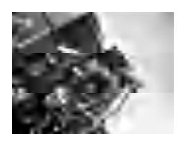 Inspekcja z klockiem drewna