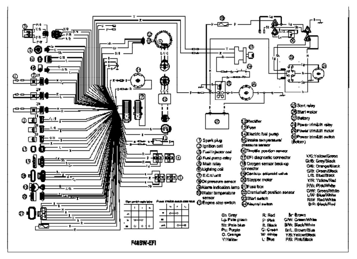 Schemat elektryczny F40BW-EFI