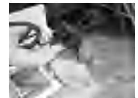 Zrywka wyłącznika zatrzymania silnika przymocowana dla modelu ze zdalnym sterowaniem