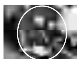 Lokalizacja inspekcji filtra paliwa