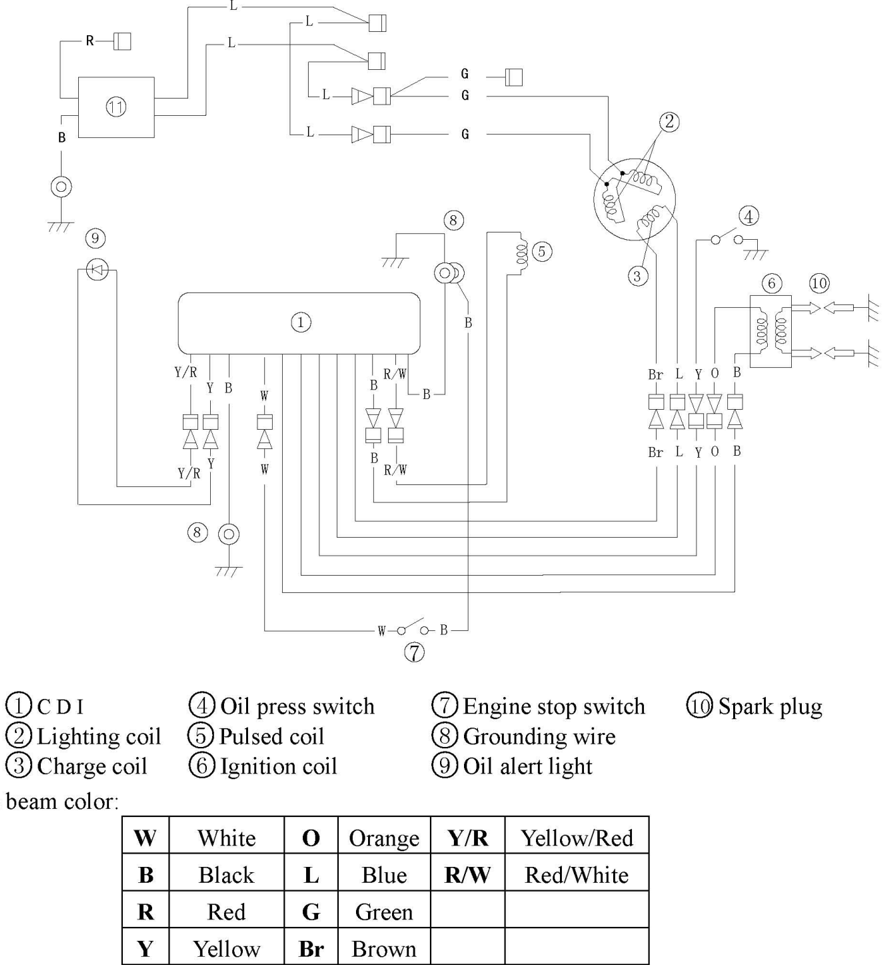 Recoil starter disassembly - volute spring removal