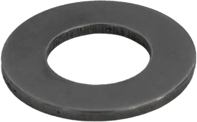 Шайба, лагер