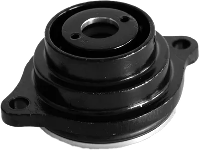 Assieme coperchio, carter inferiore