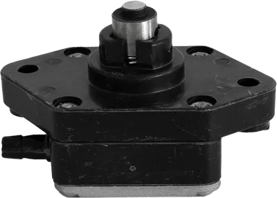 Ensemble pompe à carburant