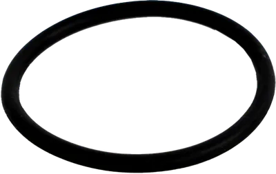 O-ring 24x031