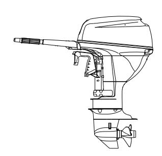 Outboard motor in upright position for oil check