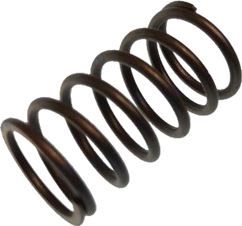 Parsun valve spring