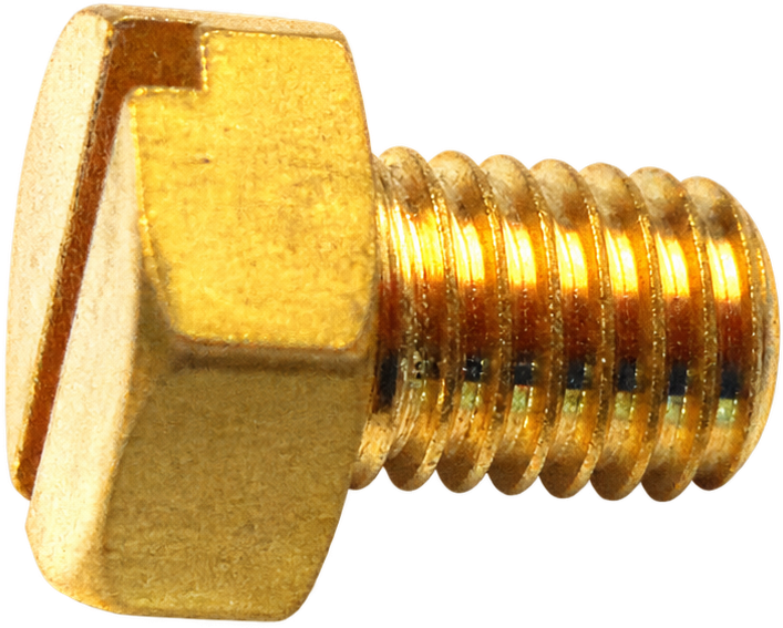 Parsun drain bolt