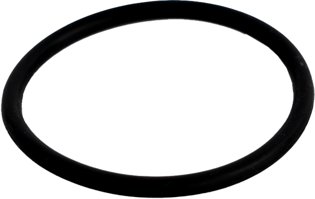 Parsun O-ring 24x031