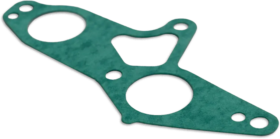 Parsun gasket,intake manifold F20-05000006