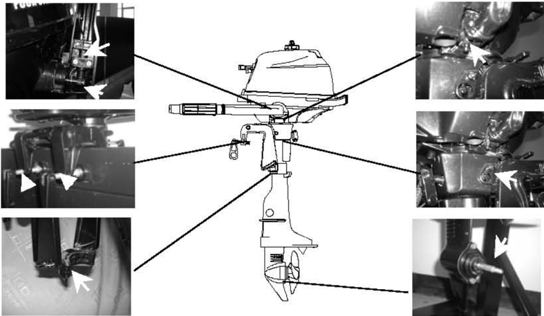 Diagramma dei punti di ingrassaggio sul motore fuoribordo